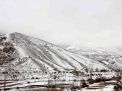 گزارش تصویری از یک روز برفی در شاهرود
